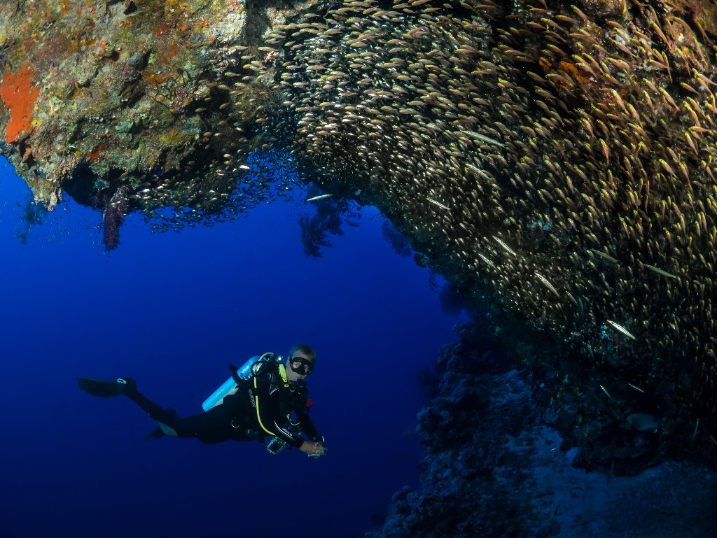 Southern Red Sea