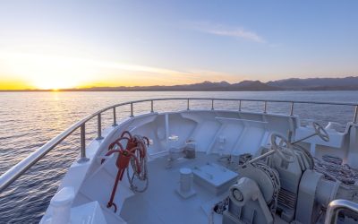 Your First Red Sea Liveaboard: What You Need To Know